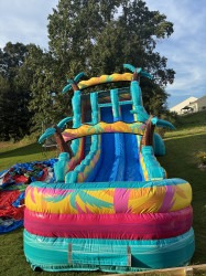 Island Flow Palms 18ft Dual Lane