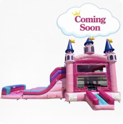 Enchanted Glitter Castle Xl Dual Slide Combo